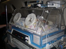 טיסה -פגים 025