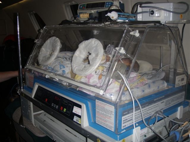 טיסה -פגים 025